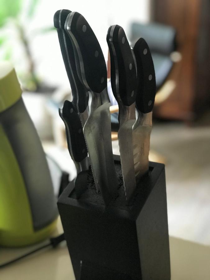 Grosse & Voll Ausgestattete Apartments, Studios, Doppelzimmer, Workspace, Parkplatz, Netflix, Prime & Schnelles Wifi In Ruhiger Lage Mit Garten Rudolstadt Luaran gambar