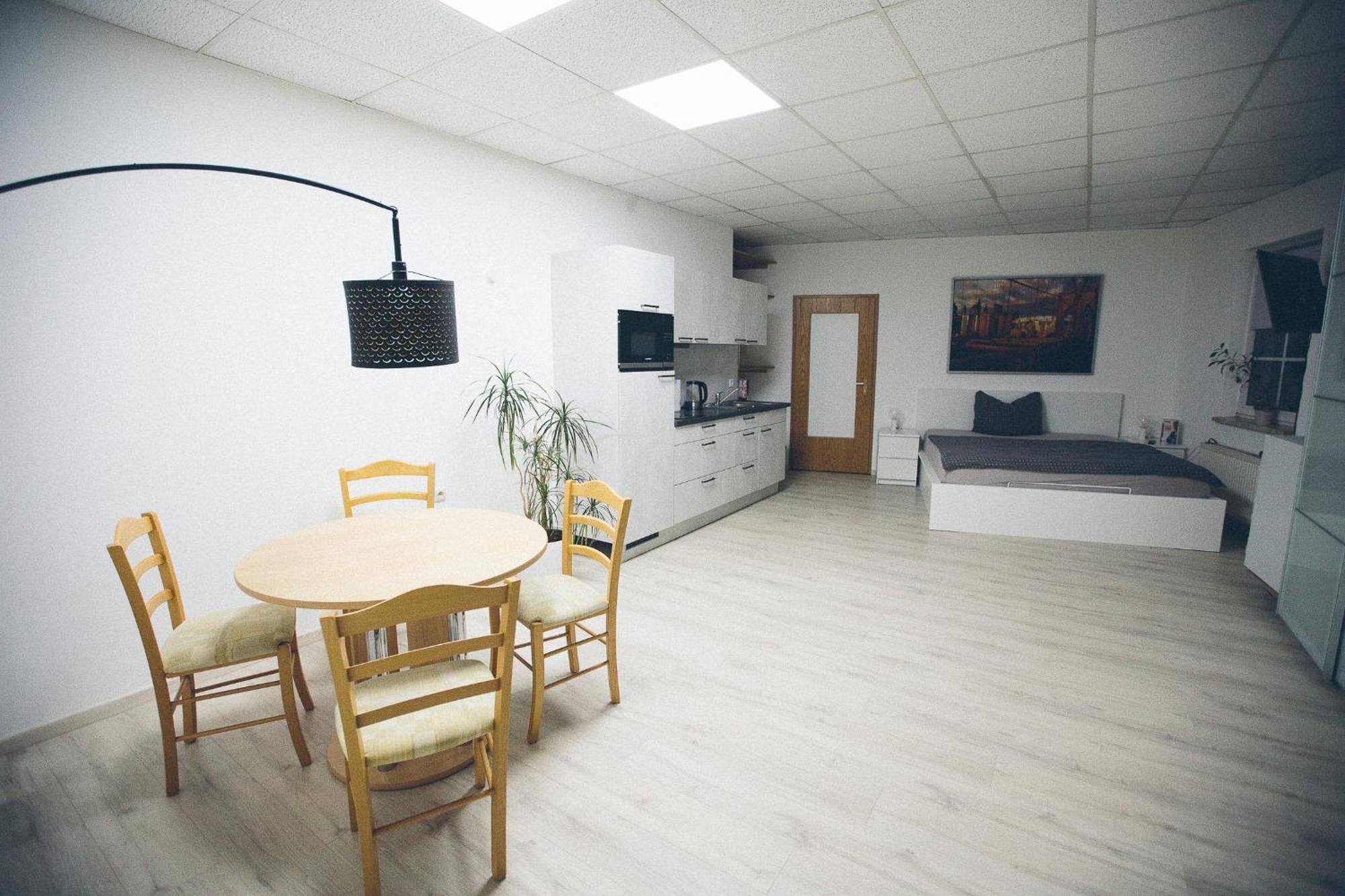 Grosse & Voll Ausgestattete Apartments, Studios, Doppelzimmer, Workspace, Parkplatz, Netflix, Prime & Schnelles Wifi In Ruhiger Lage Mit Garten Rudolstadt Luaran gambar